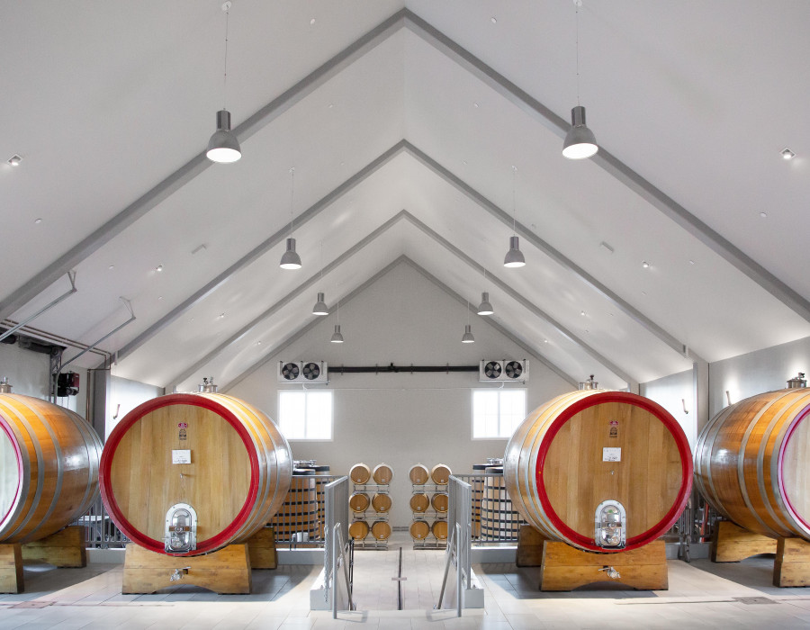 Discover Bottaia Winery