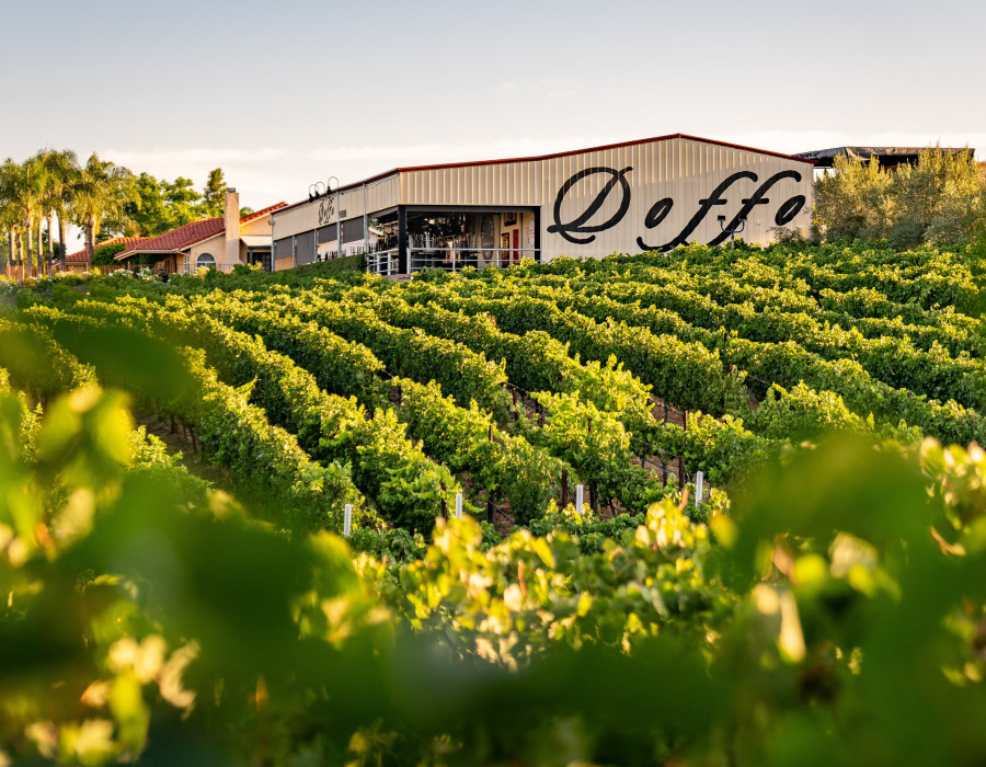 Discover Doffo Vineyard Winery