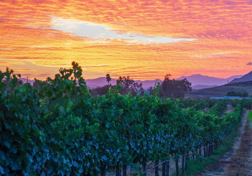 Exploring Temecula: A Guide to the Best of Southern Californias Wine Country