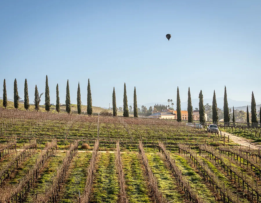 Halter Ranch Temecula: Enjoy Wine Tasting with Breathtaking Views