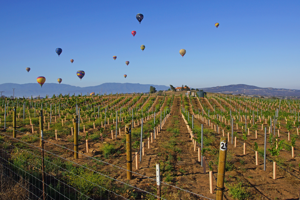 Living in Temecula: A Suburban Paradise in California