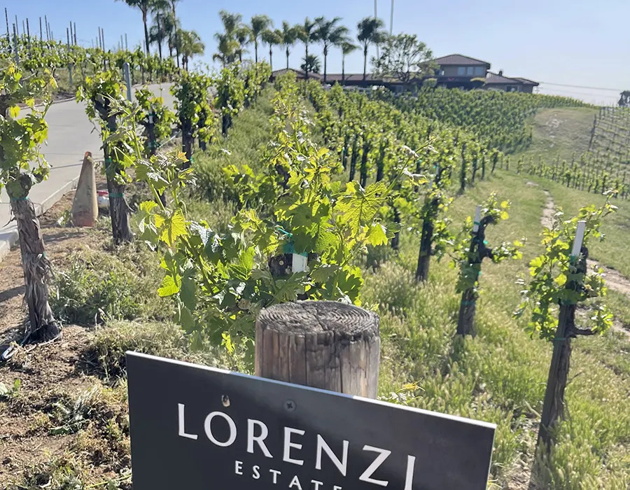 Lorenzi Estate Vineyards Winery