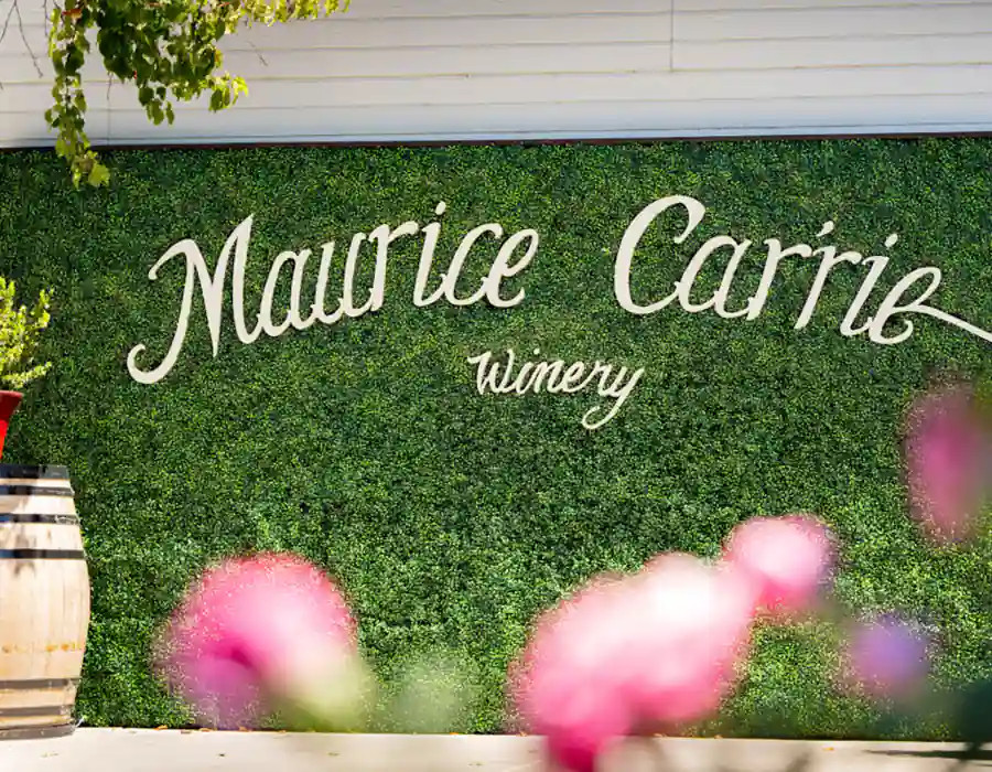 Maurice Carrie Vineyard  Winery