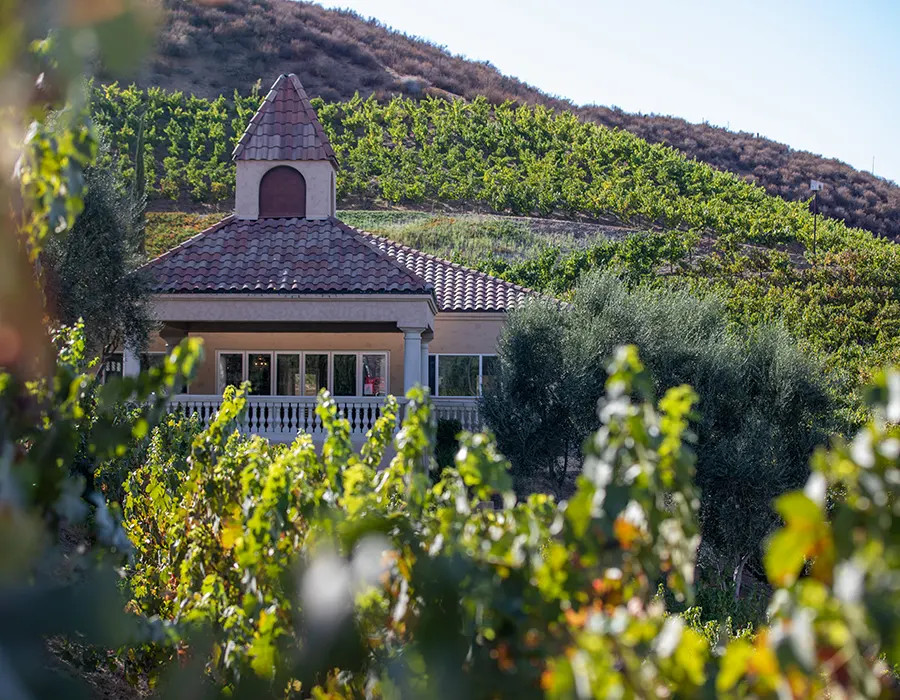 Oak Mountain Winery: A Hidden Gem in Temecula Valley